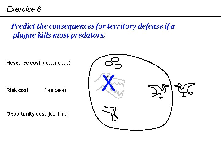 Exercise 6 Predict the consequences for territory defense if a plague kills most predators.