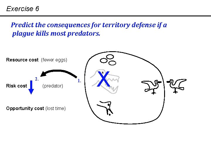 Exercise 6 Predict the consequences for territory defense if a plague kills most predators.