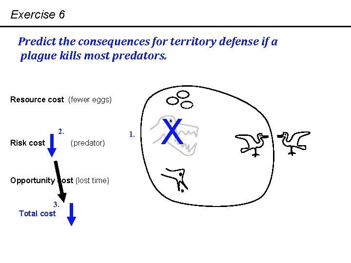 Exercise 6 Predict the consequences for territory defense if a plague kills most predators.