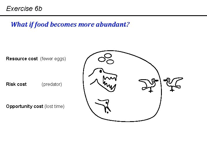 Exercise 6 b What if food becomes more abundant? Resource cost (fewer eggs) Risk