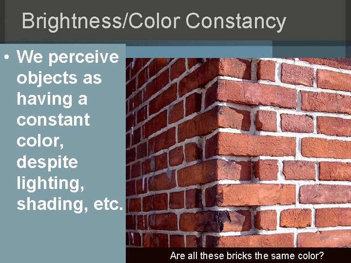 Brightness/Color Constancy • We perceive objects as having a constant color, despite lighting, shading,