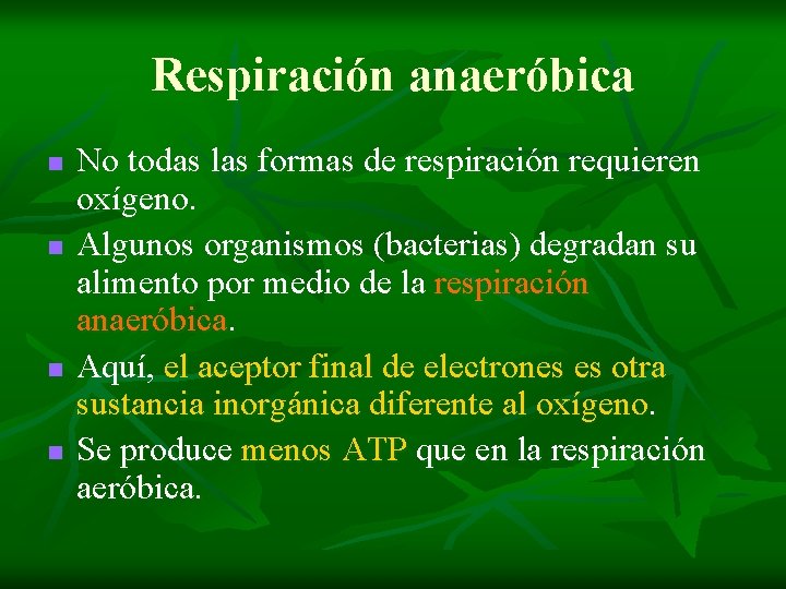 Respiración anaeróbica n n No todas las formas de respiración requieren oxígeno. Algunos organismos