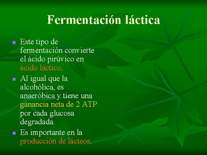 Fermentación láctica n n n Este tipo de fermentación convierte el ácido pirúvico en