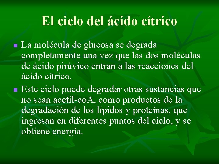 El ciclo del ácido cítrico n n La molécula de glucosa se degrada completamente