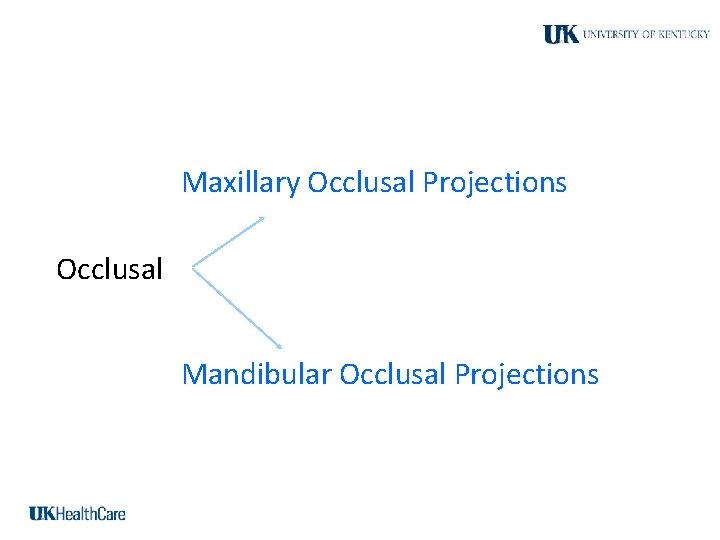 Maxillary Occlusal Projections Occlusal Mandibular Occlusal Projections 