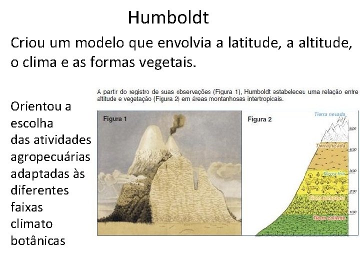 Humboldt Criou um modelo que envolvia a latitude, a altitude, o clima e as