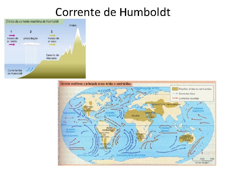 Corrente de Humboldt 