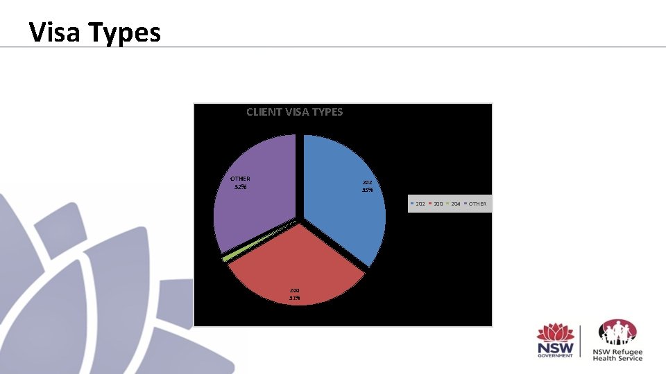 Visa Types CLIENT VISA TYPES OTHER 32% 202 35% 202 204 1% 200 31%