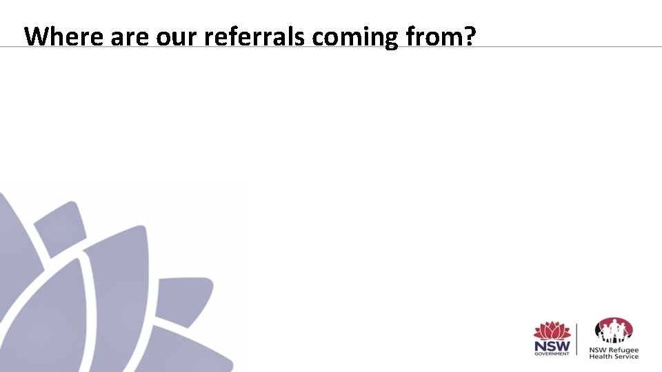 Where are our referrals coming from? 