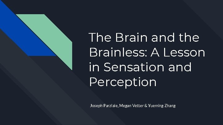 The Brain and the Brainless: A Lesson in Sensation and Perception Joseph Parziale, Megan