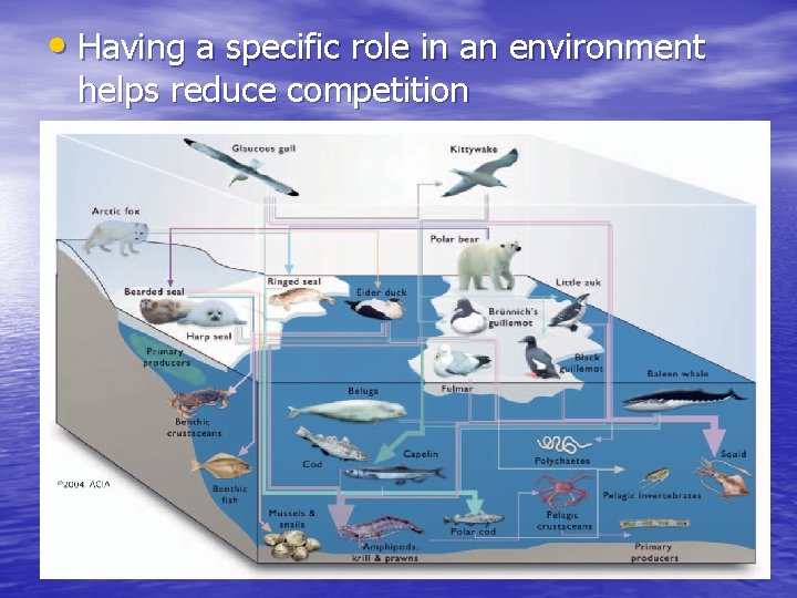  • Having a specific role in an environment helps reduce competition 