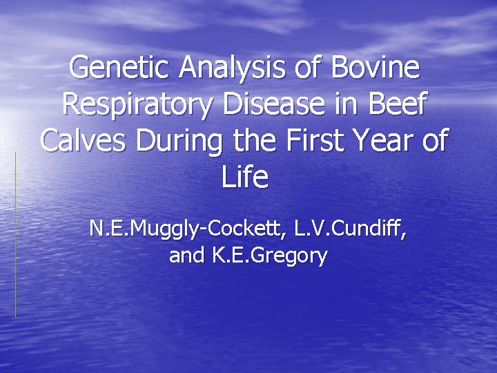 Genetic Analysis of Bovine Respiratory Disease in Beef Calves During the First Year of