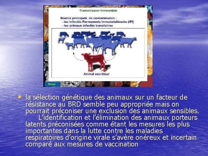  • la sélection génétique des animaux sur un facteur de résistance au BRD