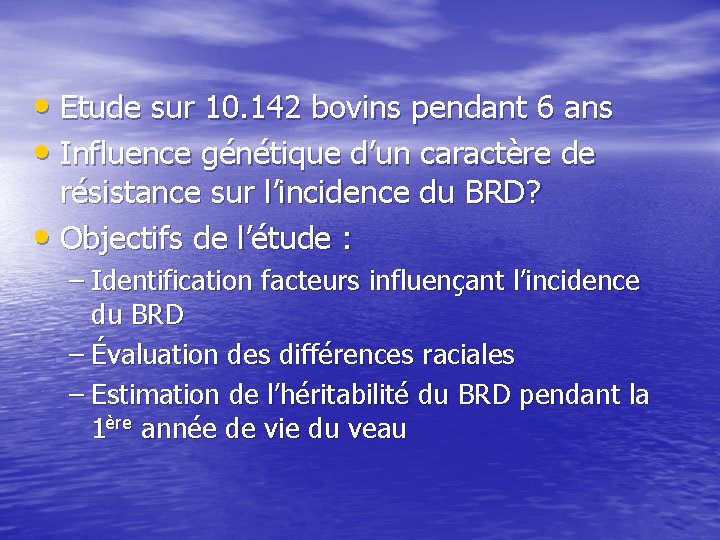  • Etude sur 10. 142 bovins pendant 6 ans • Influence génétique d’un