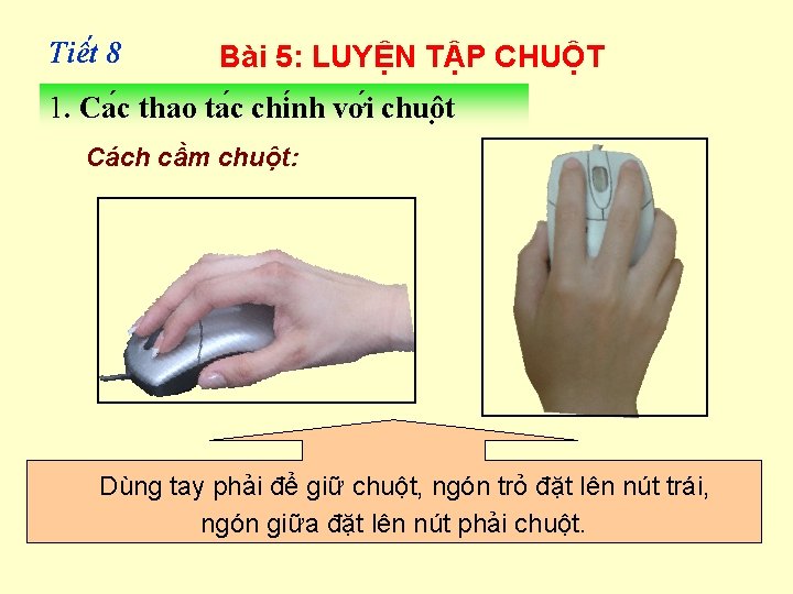 Tiê t 8 Bài 5: LUYỆN TẬP CHUỘT 1. Ca c thao ta c