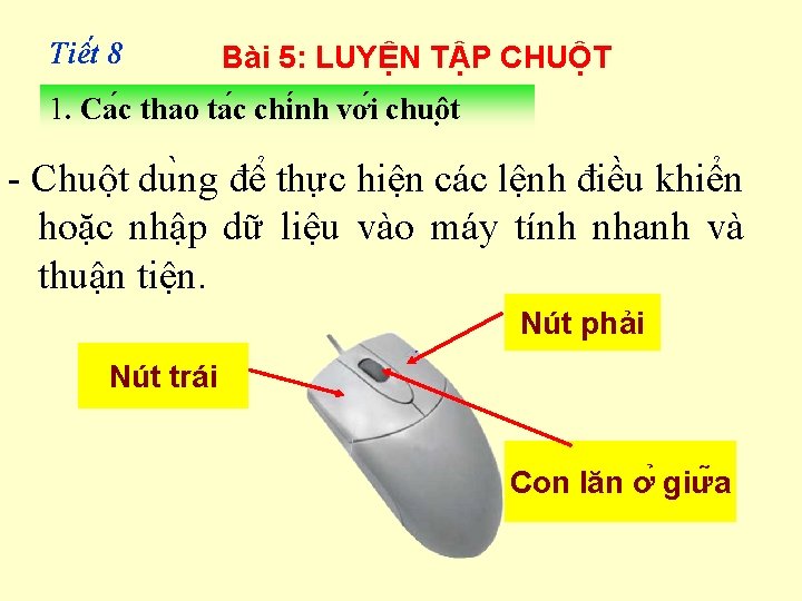 Tiê t 8 Bài 5: LUYỆN TẬP CHUỘT 1. Ca c thao ta c