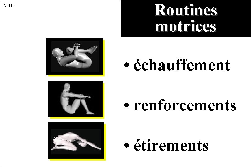 3 - 11 Routines motrices • échauffement • renforcements • étirements 