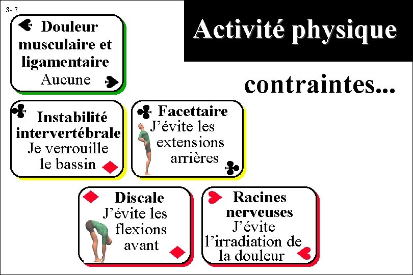 3 - 7 Activité physique Douleur musculaire et ligamentaire Aucune Facettaire J’évite les extensions