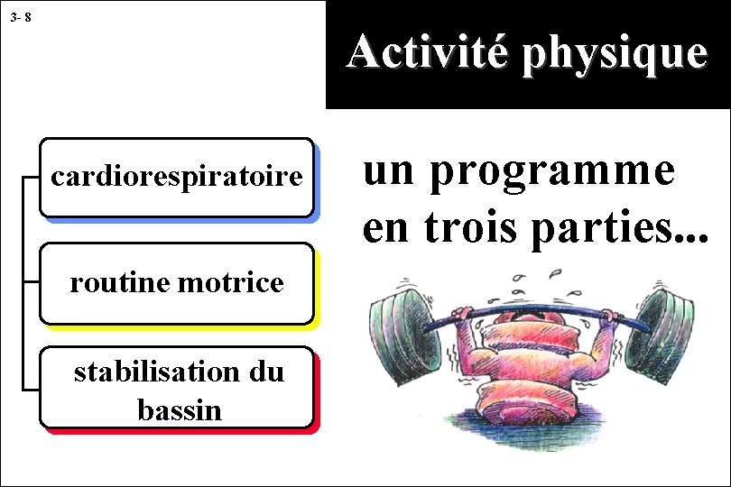 3 - 8 Activité physique cardiorespiratoire routine motrice stabilisation du bassin un programme en