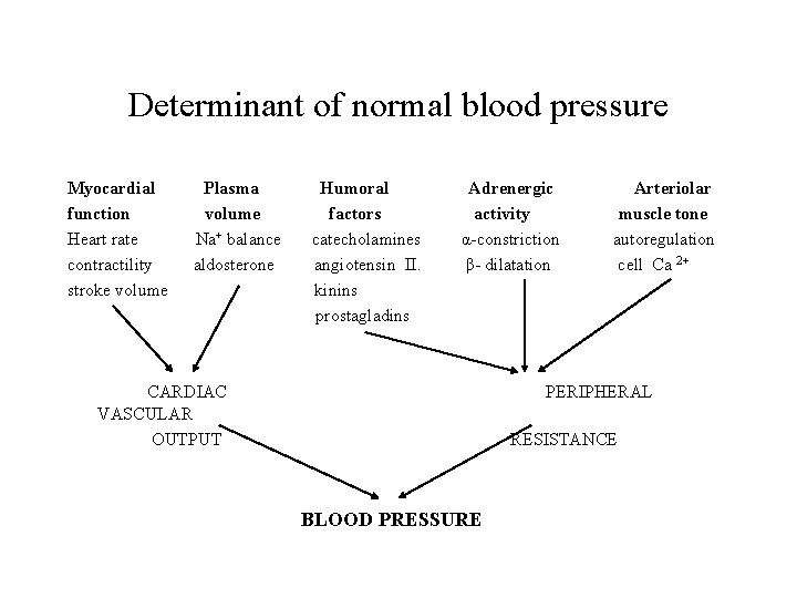 Determinant of normal blood pressure Myocardial function Heart rate contractility stroke volume Plasma volume