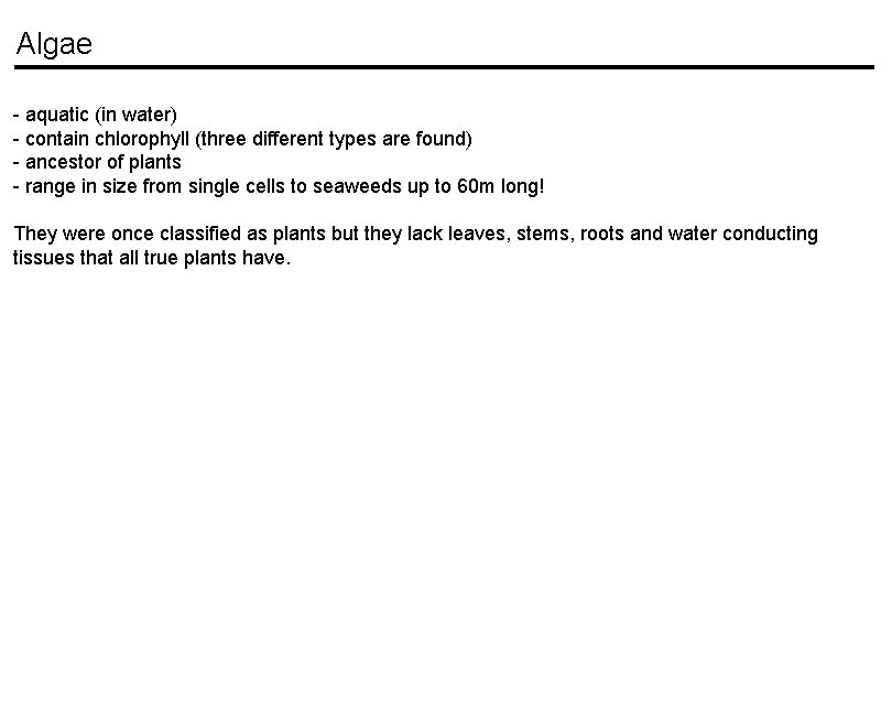 Algae - aquatic (in water) - contain chlorophyll (three different types are found) - Algae - aquatic (in water) - contain chlorophyll (three different types are found) -