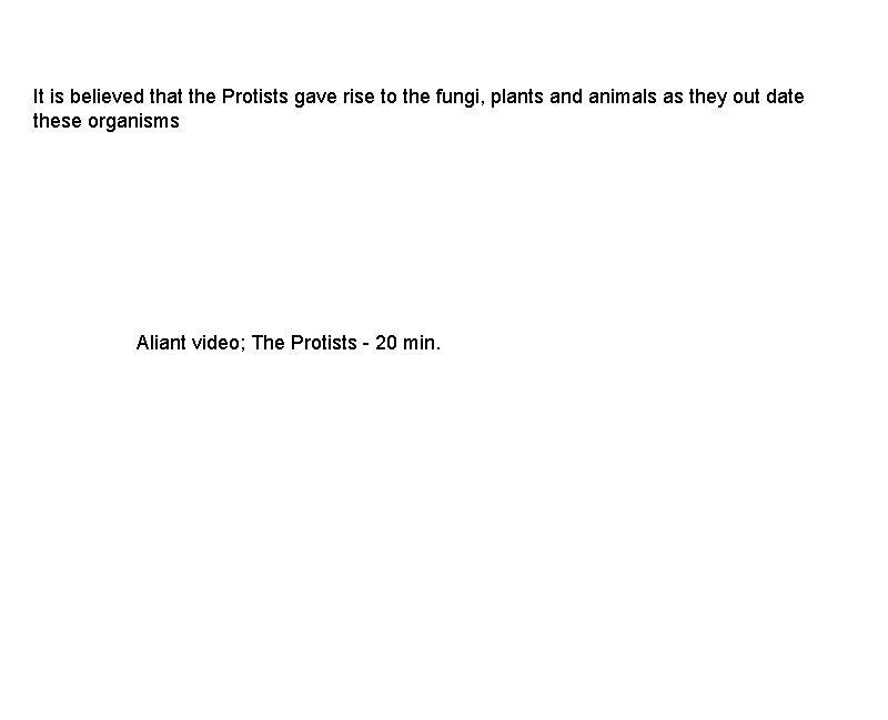 It is believed that the Protists gave rise to the fungi, plants and animals It is believed that the Protists gave rise to the fungi, plants and animals