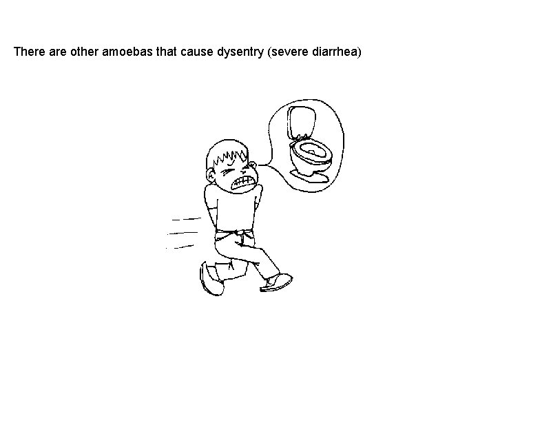 There are other amoebas that cause dysentry (severe diarrhea) There are other amoebas that cause dysentry (severe diarrhea)