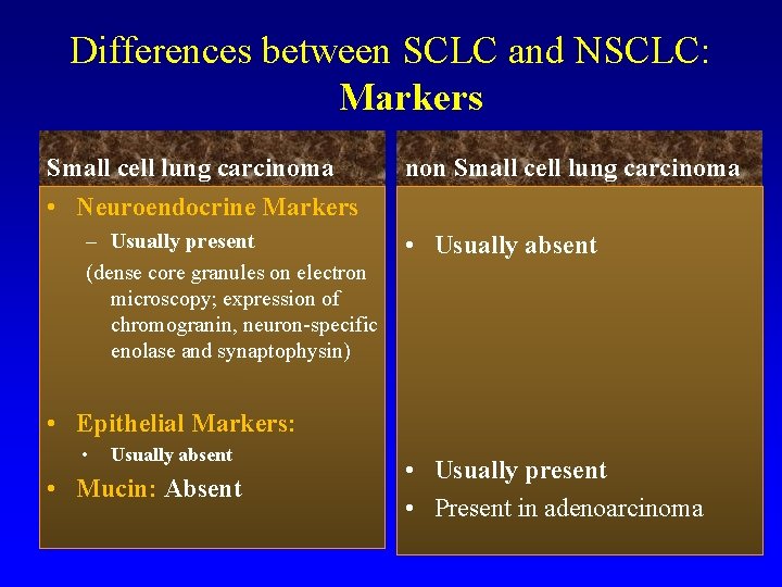 Differences between SCLC and NSCLC: Markers Small cell lung carcinoma non Small cell lung