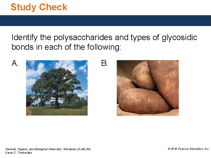 Study Check Identify the polysaccharides and types of glycosidic bonds in each of the