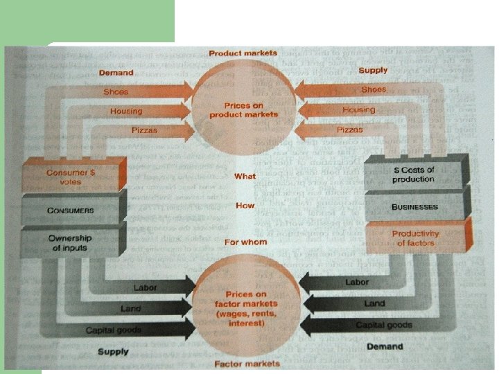 Circular Flow of a Market Economy 