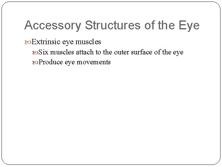 Accessory Structures of the Eye Extrinsic eye muscles Six muscles attach to the outer