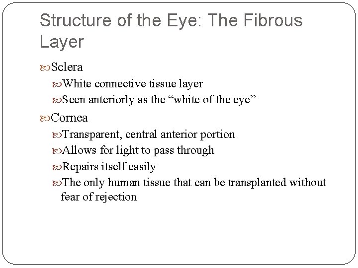 Structure of the Eye: The Fibrous Layer Sclera White connective tissue layer Seen anteriorly