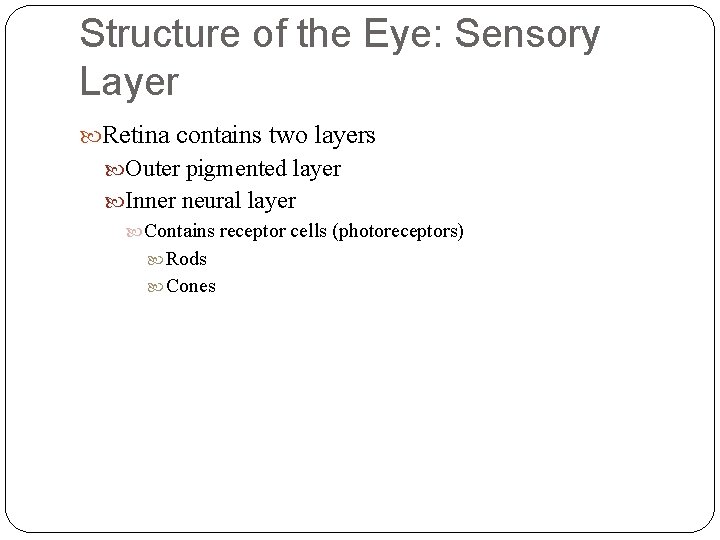 Structure of the Eye: Sensory Layer Retina contains two layers Outer pigmented layer Inner