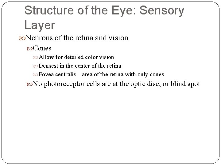 Structure of the Eye: Sensory Layer Neurons of the retina and vision Cones Allow