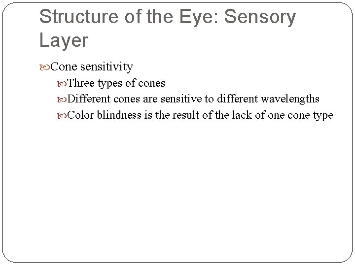 Structure of the Eye: Sensory Layer Cone sensitivity Three types of cones Different cones