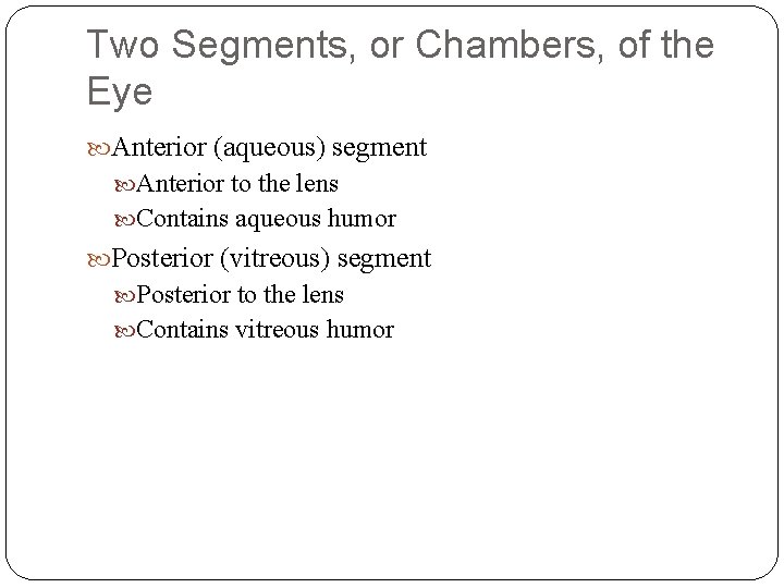 Two Segments, or Chambers, of the Eye Anterior (aqueous) segment Anterior to the lens