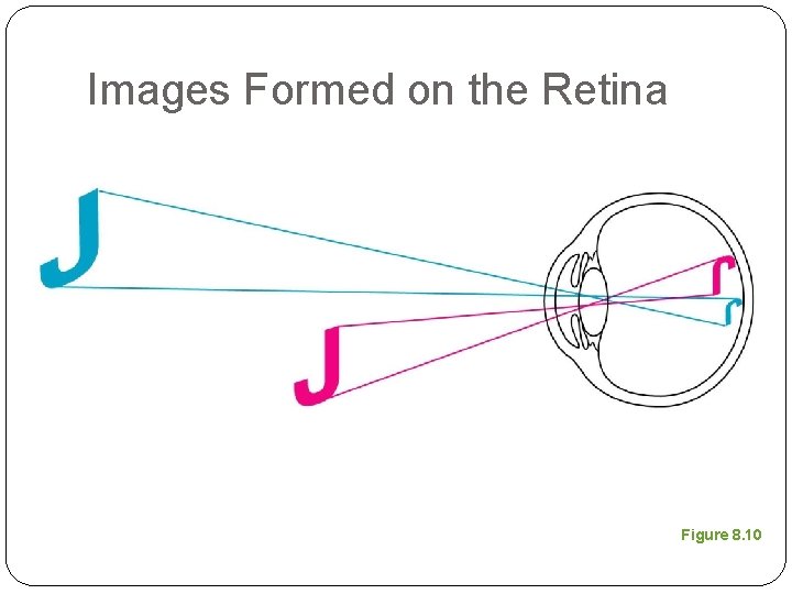 Images Formed on the Retina Figure 8. 10 