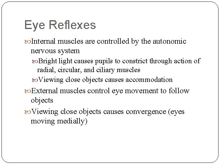 Eye Reflexes Internal muscles are controlled by the autonomic nervous system Bright light causes