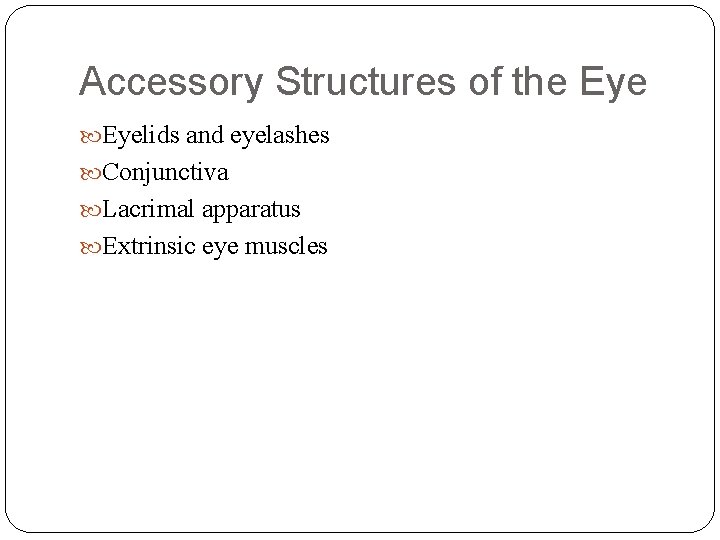 Accessory Structures of the Eyelids and eyelashes Conjunctiva Lacrimal apparatus Extrinsic eye muscles 