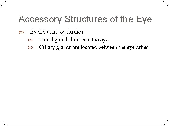 Accessory Structures of the Eyelids and eyelashes Tarsal glands lubricate the eye Ciliary glands