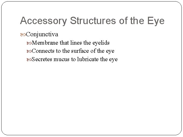 Accessory Structures of the Eye Conjunctiva Membrane that lines the eyelids Connects to the