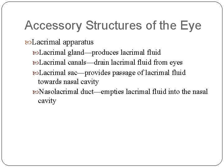 Accessory Structures of the Eye Lacrimal apparatus Lacrimal gland—produces lacrimal fluid Lacrimal canals—drain lacrimal