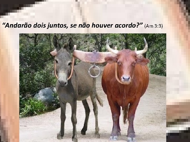 “Andarão dois juntos, se não houver acordo? ” (Am 3: 3) 