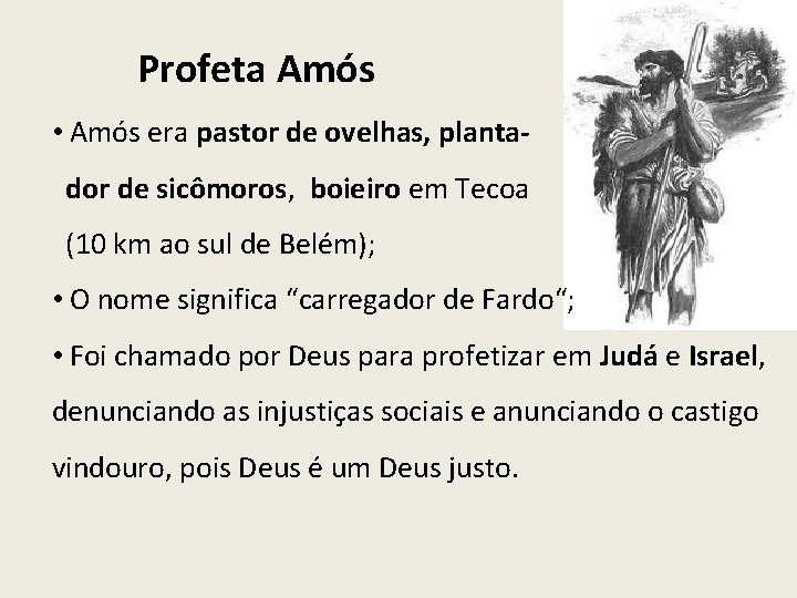 Profeta Amós • Amós era pastor de ovelhas, plantador de sicômoros, boieiro em Tecoa