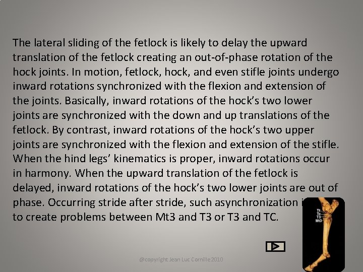 The lateral sliding of the fetlock is likely to delay the upward translation of