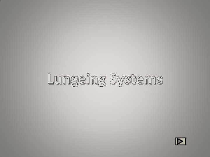 Lungeing Systems 