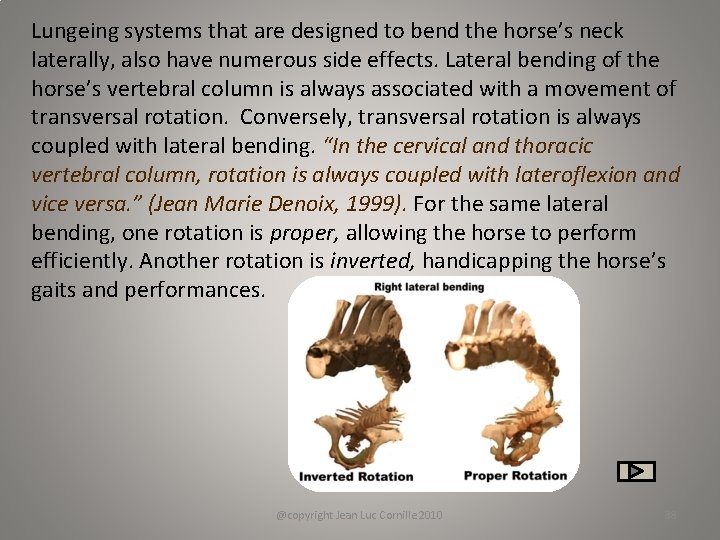 Lungeing systems that are designed to bend the horse’s neck laterally, also have numerous