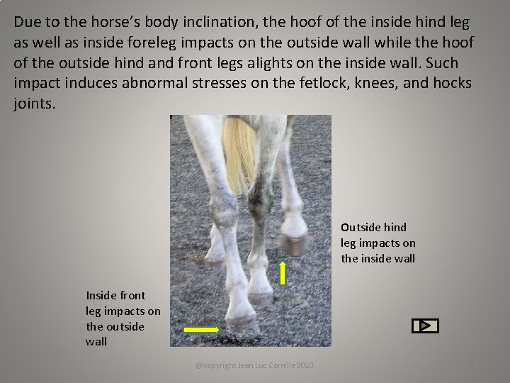 Due to the horse’s body inclination, the hoof of the inside hind leg as