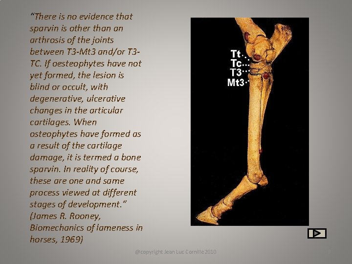 “There is no evidence that sparvin is other than an arthrosis of the joints