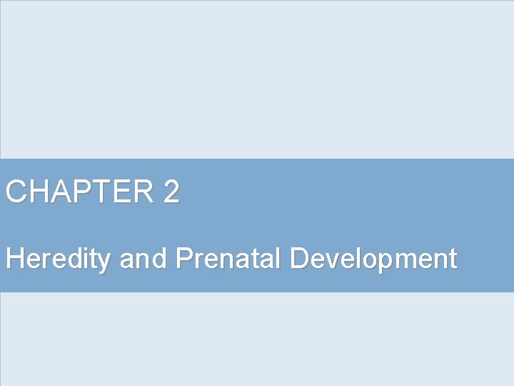 CHAPTER 2 Heredity and Prenatal Development The Influence
